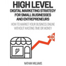 High Level Digital Marketing Strategy For Small Business Owners And Entrepreneurs: How To Market Your Business Online Without Wasting Time & Money