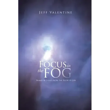Focus in the Fog: Beams of Light from the Book of Job