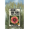 Guide to Ocean Dune Plants Common to North Carolina