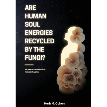 Are Human Soul Energies Recycled by the Fungi?