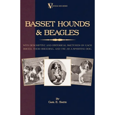 Basset Hounds & Beagles: With Descriptive and Historical Sketches on Each Breed, Their Breeding, and Use as a Sporting Dog