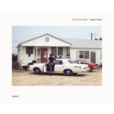 Joel Sternfeld: Nags Head