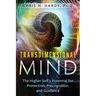 Transdimensional Mind: The Higher Self's Potential for Protection, Precognition, and Guidance