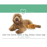 Alex the Brave Meets a Big, Brown, Furry Dog!