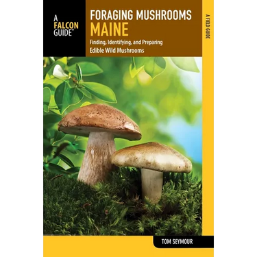 Foraging Mushrooms Maine