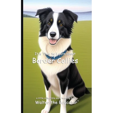 It's Time to Learn about Border Collies