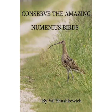 Conserve the Amazing Numenius Birds