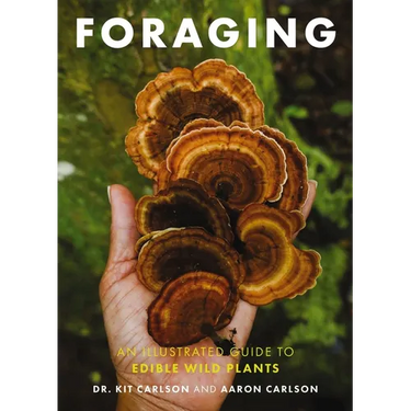 Foraging: An Illustrated Guide to Edible Wild Plants