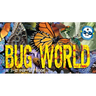 Bug World: A 3-D Pop-Up Book