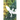The Book of Chameleons