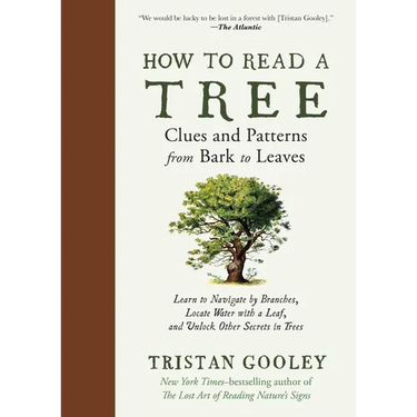 How to Read a Tree: Clues and Patterns from Bark to Leaves