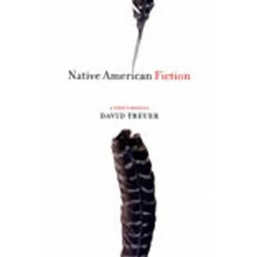 Native American Fiction