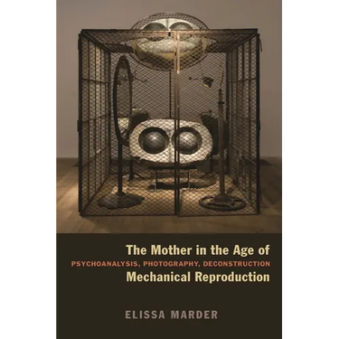 The Mother in the Age of Mechanical Reproduction: Psychoanalysis, Photography, Deconstruction