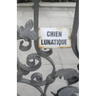 Chien Lunatique: Poems