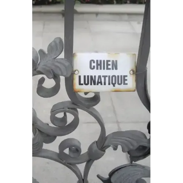 Chien Lunatique: Poems