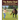 The Better Deal: Practical Horsemanship Training for You and Your Horse
