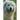 Holy Spirit Shepherd Dog