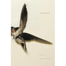 The Swallows