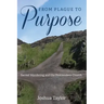From Plague to Purpose: Sacred Wandering and the Postmodern Church