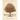 Wishtree (Special Edition): Adult Edition