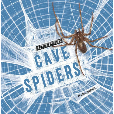 Cave Spiders