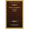 History Of Sullivan County (1873)