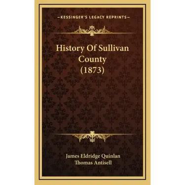 History Of Sullivan County (1873)