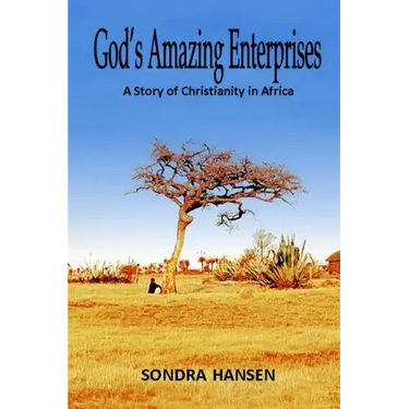 God's Amazing Enterprises: A Story of Christianity in Africa