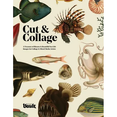 Cut and Collage
