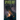 Spiderlight