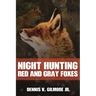 Night Hunting Red And Gray Foxes
