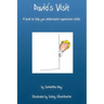 David's Visit: A book to help you understand supervised visits