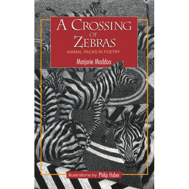 A Crossing of Zebras