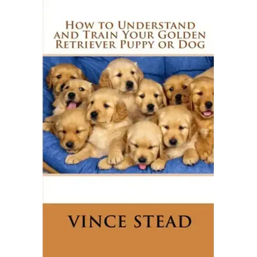 How to Understand and Train Your Golden Retriever Puppy or Dog