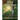 Royal Reflections 2.0: The Making of a Warrior Princess