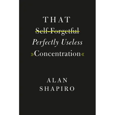 That Self-Forgetful Perfectly Useless Concentration