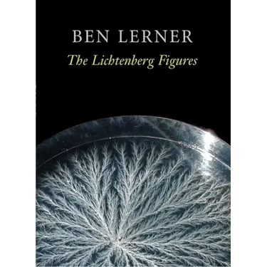 The Lichtenberg Figures