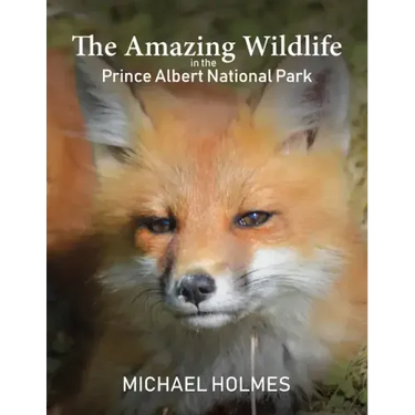 The Amazing Wildlife in the Prince Albert National Park