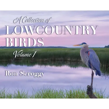 A Collection of Lowcountry Birds