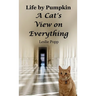 Life by Pumpkin: A Cat's View on Everything