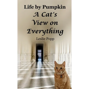 Life by Pumpkin: A Cat's View on Everything
