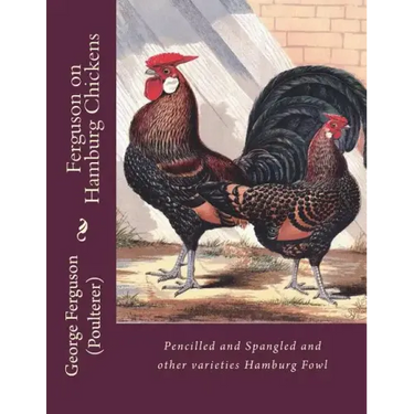 Ferguson on Hamburg Chickens: Pencilled and Spangled and other varieties Hamburg Fowl