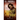 Horrificata Book 1: School's Dead Boring