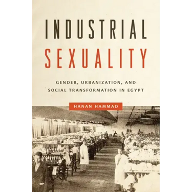 Industrial Sexuality: Gender, Urbanization, and Social Transformation in Egypt