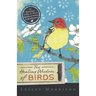 The Healing Wisdom of Birds: An Everyday Guide to Their Spiritual Songs & Symbolism