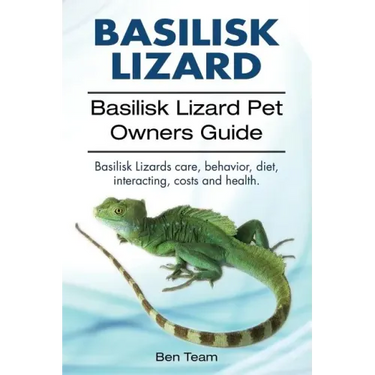 basilisk: Basilisk Lizard. Basilisk Lizard Pet Owners Guide. Basilisk Lizards care, behavior, diet, interacting, costs and healt
