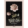 Plant Lore, Legends & Lyrics