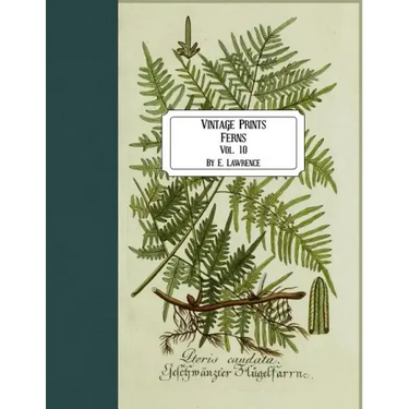 Vintage Prints: Ferns: Vol. 10