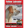 Yellow Labrador Training Book for Dogs and Puppies by BoneUp Dog Training: Are You Ready to Bone Up? Easy Steps * Fast Results Yellow Labrador Trainin