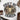 c4b3c893-26a0-4a33-b171-de04598d8638-Max